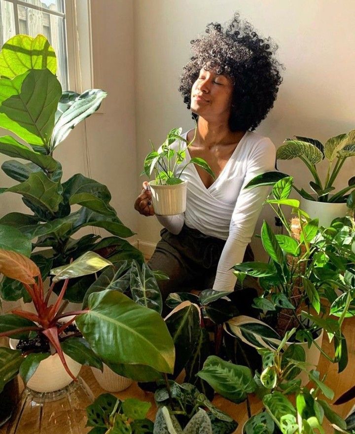 House Plants for Anxiety: How Indoor Plants Can Improve Your Mental Health