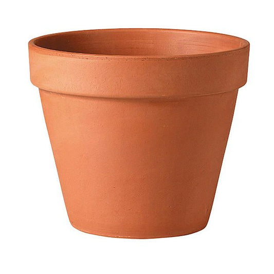 Terracotta/Clay Pot